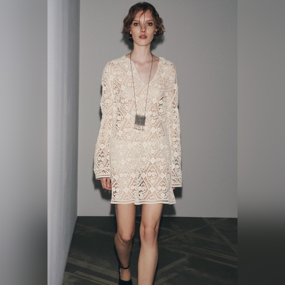 Zara ZW Collection Crochet Dresd